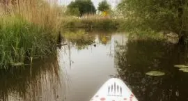 review deborah cognitrain