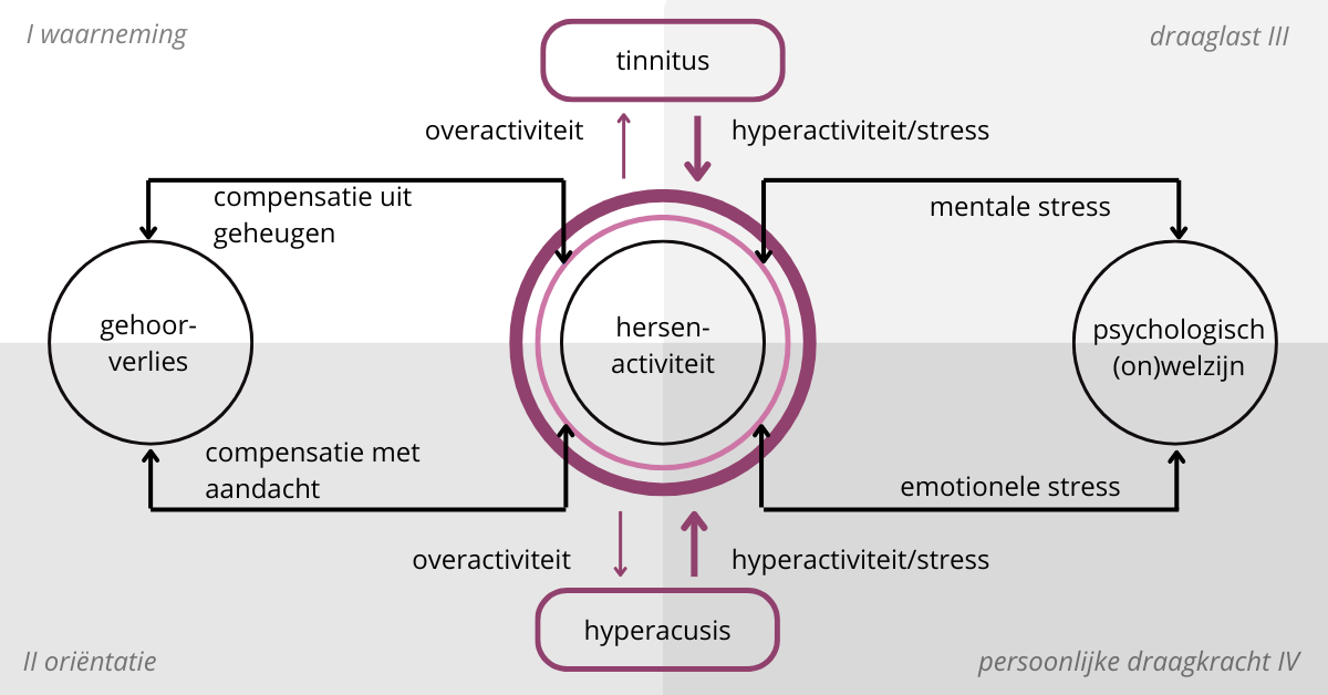 tinnitus en hyperacusis